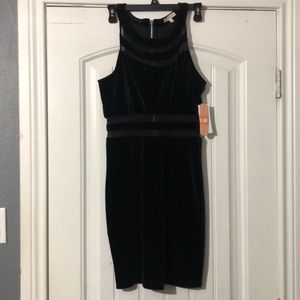 Gianni bini brand new black velvet dress. Size L